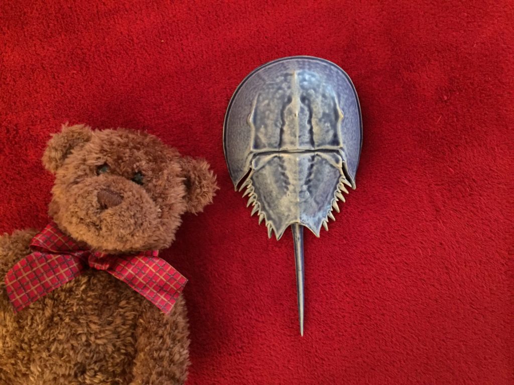 Horseshoe crab From North Water Gallery Martha's Vineyard Teddy Bear Suite Fundraiser Raffle