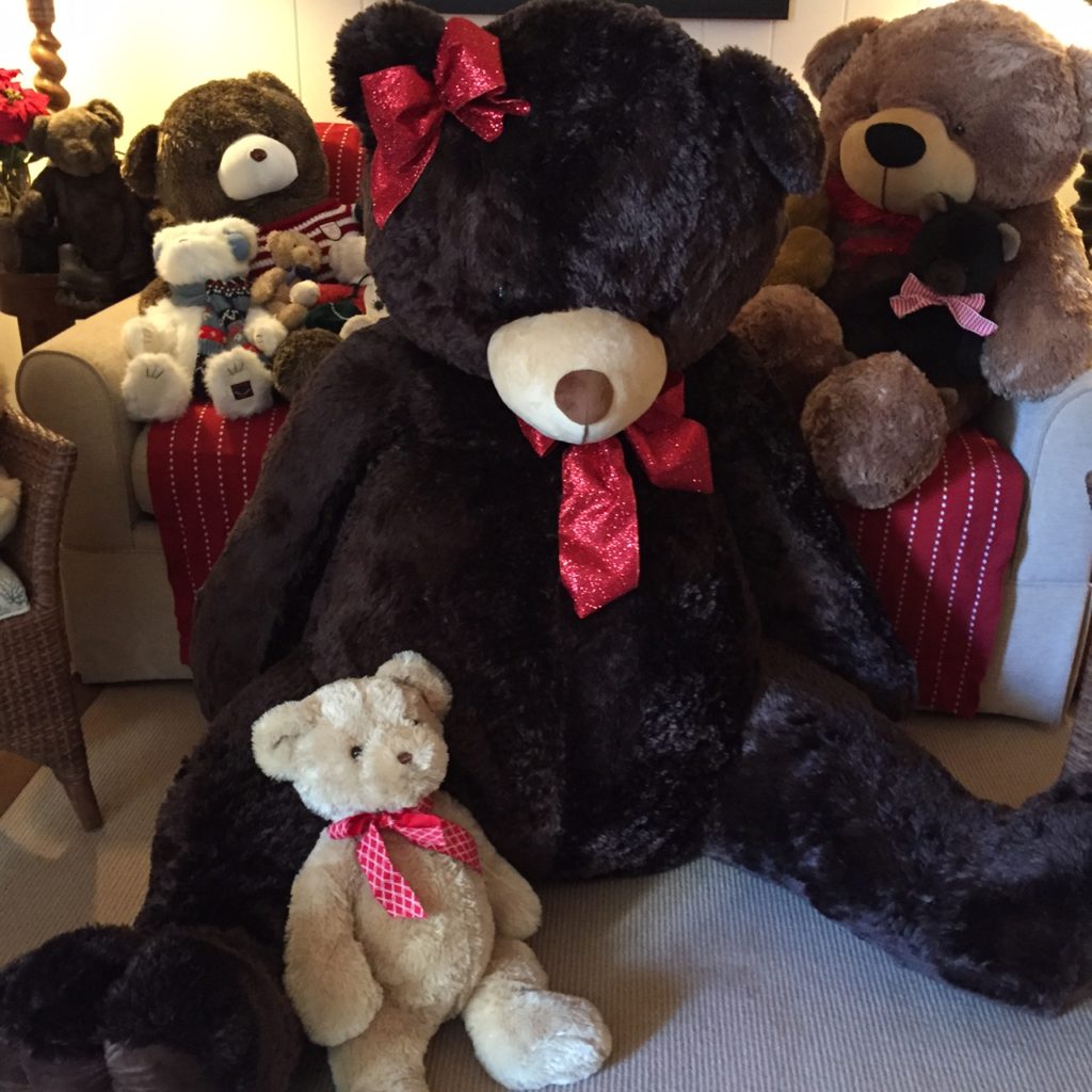 The New Big Bear Is Named Aquinas or Quinn For Short - She Joins The Martha's Vineyard Teddy Bear Suite Fundraiser