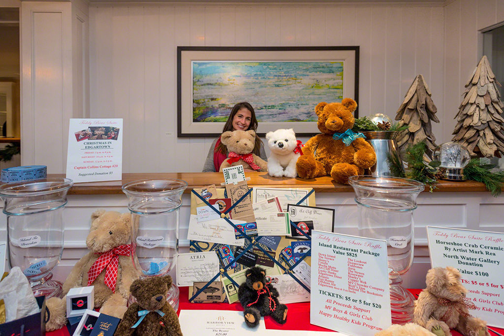 Martha's Vineyard TeddyBear Suite Fundraiser Raffle