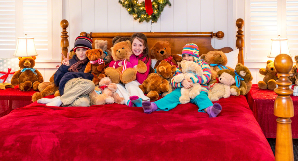 Giving Tuesday Fundraising Match Martha's Vineyard Teddy Bear Suite