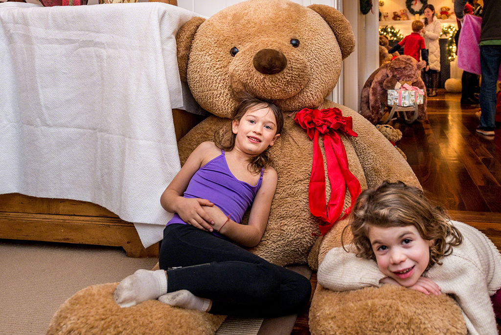 Martha's Vineyard Teddy Bear Suite Fundraiser Giving Tuesday Launch