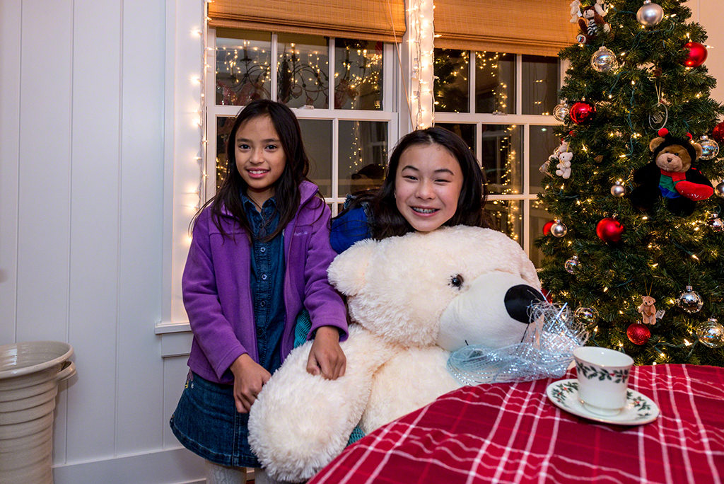 Martha's Vineyard Teddy Bear Suite Fundraiser - Donate Now To Help End Childhood Hunger On Martha's Vineyard