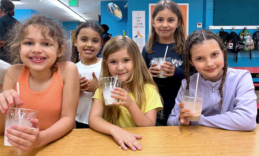 The Martha's Vineyard Teddy Bear Suite Fundraiser Gets Off To A Great Start On Giving Tuesday Fundriasesr almost hits $16,000